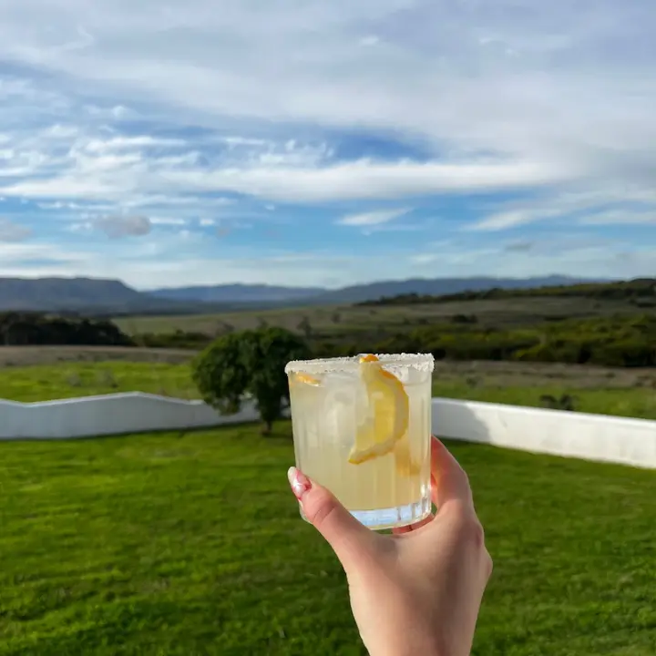 Yellow Margarita Spritz VerGin Limón Mocktail in a stylish glass with a beautiful landscape background.