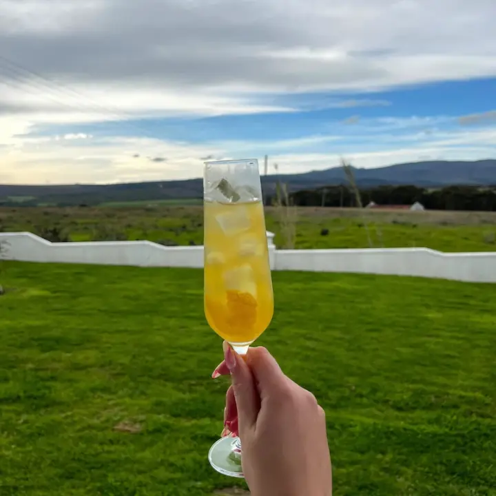 Yellow Bee&#39;s Knees VerGin Limón Mocktail in a stylish champagne glass with a beautiful landscape background.