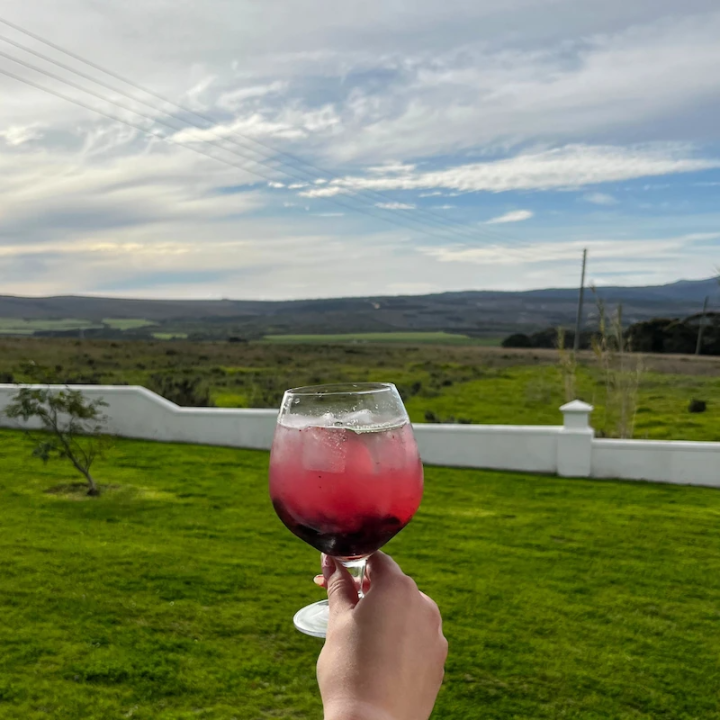 Pink Blueberry Smash VerGin Bloom Mocktail in a stylish VerGin SA glass with a beautiful landscape background.