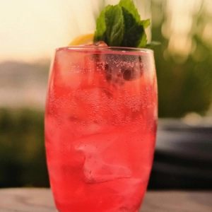 VerGin Bloom Berry Kombucha Refresher VerGin Bloom Mocktail with bright pink kombucha, garnished with mint leaves in a tall grass standing in front of a blurred out sunset background.